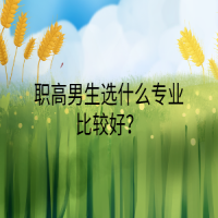 職高男生選什么專業(yè)比較好？