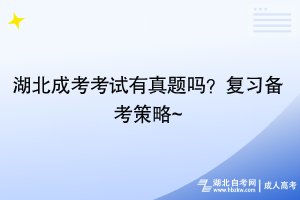 湖北成考考試有真題嗎？復(fù)習(xí)備考策略~