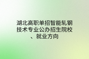 湖北高職單招智能軋鋼技術(shù)專業(yè)公辦招生院校、就業(yè)方向