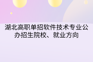 湖北高職單招軟件技術(shù)專業(yè)公辦招生院校、就業(yè)方向
