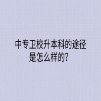 中專衛(wèi)校升本科的途徑是怎么樣的？