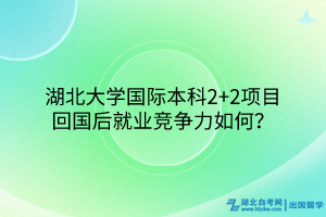 湖北大學(xué)國(guó)際本科2+2項(xiàng)目回國(guó)后就業(yè)競(jìng)爭(zhēng)力如何？
