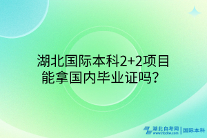 湖北國(guó)際本科2+2項(xiàng)目能拿國(guó)內(nèi)畢業(yè)證嗎？