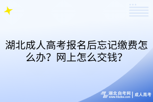 湖北成人高考報(bào)名后忘記繳費(fèi)怎么辦？網(wǎng)上怎么交錢？