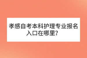 孝感自考本科護理專業(yè)報名入口在哪里？