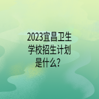 2023宜昌衛(wèi)生學(xué)校招生計(jì)劃是什么？