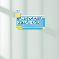 武漢旅游學校旅游中等職業(yè)學校口碑如何？