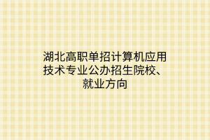 湖北高職單招計算機應(yīng)用技術(shù)專業(yè)公辦招生院校、就業(yè)方向
