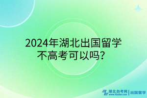 2024年湖北出國留學(xué)不高考可以嗎？