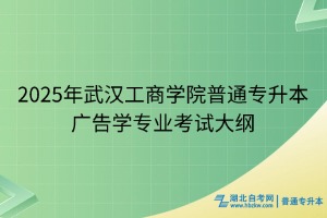 2025年武漢工商學(xué)院普通專(zhuān)升本廣告學(xué)專(zhuān)業(yè)考試大綱