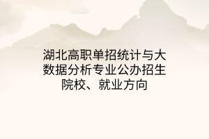 湖北高職單招統(tǒng)計與大數(shù)據(jù)分析專業(yè)公辦招生院校、就業(yè)方向