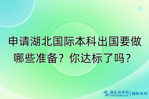 申請湖北國際本科出國要做哪些準(zhǔn)備？你達(dá)標(biāo)了嗎？