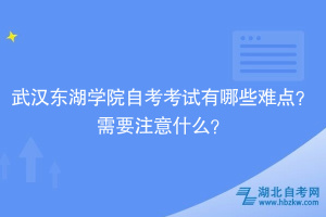 武漢東湖學(xué)院自考考試有哪些難點(diǎn)？需要注意什么？