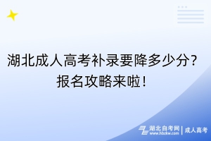湖北成人高考補(bǔ)錄要降多少分？報(bào)名攻略來啦！