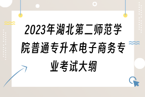2023年湖北第二師范學院普通專升本電子商務專業(yè)考試大綱