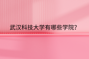 武漢科技大學(xué)有哪些學(xué)院？