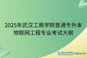 2025年武漢工商學院普通專升本物聯(lián)網(wǎng)工程專業(yè)考試大綱