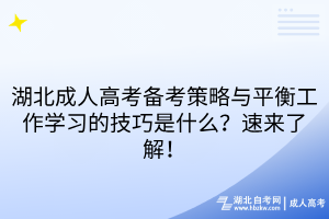 湖北成人高考備考策略與平衡工作學(xué)習(xí)的技巧是什么？速來了解！