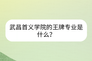 武昌首義學(xué)院的王牌專業(yè)是什么？