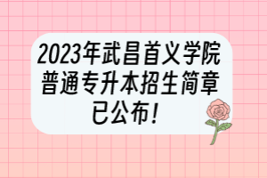 2023年武昌首義學(xué)院普通專升本招生簡(jiǎn)章已公布！