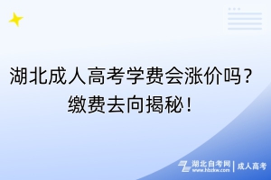 湖北成人高考學(xué)費會漲價嗎？繳費去向揭秘！