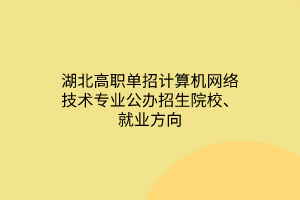 湖北高職單招計算機網(wǎng)絡(luò)技術(shù)專業(yè)公辦招生院校、就業(yè)方向