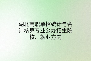 湖北高職單招統(tǒng)計與會計核算專業(yè)公辦招生院校、就業(yè)方向