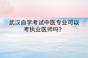 武漢自學(xué)考試中醫(yī)專業(yè)可以考執(zhí)業(yè)醫(yī)師嗎？