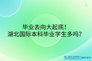 畢業(yè)去向大起底！湖北國際本科畢業(yè)學(xué)生多嗎？