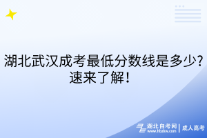 湖北武漢成考最低分?jǐn)?shù)線是多少?速來(lái)了解！