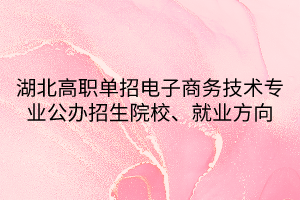 湖北高職單招電子商務(wù)技術(shù)專(zhuān)業(yè)公辦招生院校、就業(yè)方向