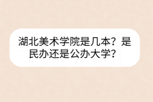 湖北美術(shù)學(xué)院是幾本？是民辦還是公辦大學(xué)？