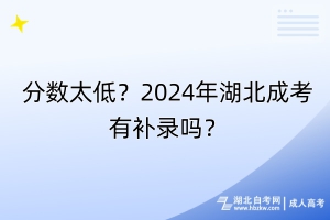 分?jǐn)?shù)太低？2024年湖北成考有補(bǔ)錄嗎？