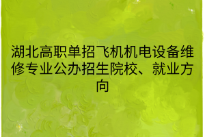 湖北高職單招飛機(jī)機(jī)電設(shè)備維修專業(yè)公辦招生院校、就業(yè)方向