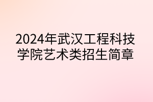 2024年武漢工程科技學院藝術類招生簡章