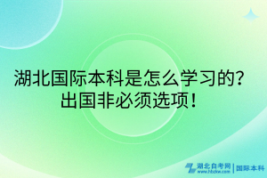 湖北國際本科是怎么學(xué)習(xí)的？出國非必須選項(xiàng)！