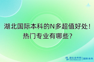 湖北國(guó)際本科的N多超值好處！熱門專業(yè)有哪些？