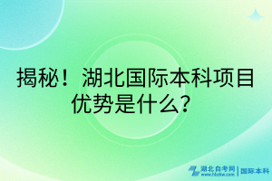 揭秘！湖北國(guó)際本科項(xiàng)目?jī)?yōu)勢(shì)是什么？