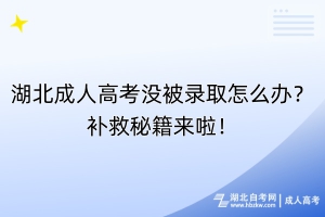湖北成人高考沒被錄取怎么辦？補(bǔ)救秘籍來啦！