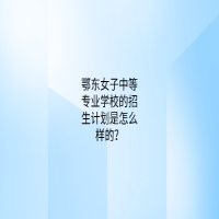 鄂東女子中等專(zhuān)業(yè)學(xué)校的招生計(jì)劃是怎么樣的？