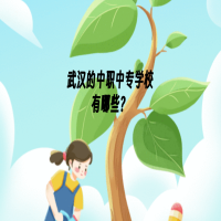 武漢中職中專學校有哪些？