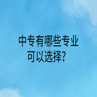中專(zhuān)有哪些專(zhuān)業(yè)可以選擇？