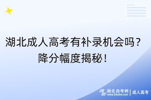 湖北成人高考有補(bǔ)錄機(jī)會(huì)嗎？降分幅度揭秘！