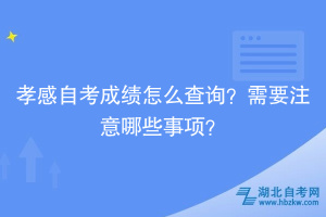 孝感自考成績怎么查詢？需要注意哪些事項？