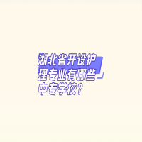 湖北省開設(shè)護(hù)理專業(yè)有哪些中專學(xué)校？