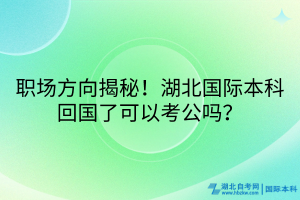 職場方向揭秘！湖北國際本科回國了可以考公嗎？