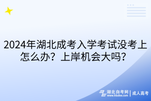 2024年湖北成考入學考試沒考上怎么辦？上岸機會大嗎？