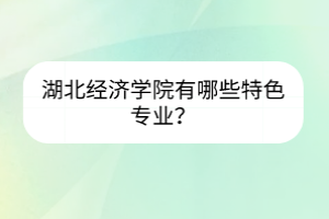 湖北經(jīng)濟學(xué)院有哪些特色專業(yè)？
