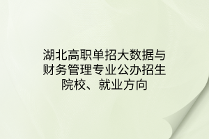 湖北高職單招大數(shù)據(jù)與財務(wù)管理專業(yè)公辦招生院校、就業(yè)方向