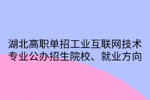 湖北高職單招工業(yè)互聯(lián)網(wǎng)技術(shù)專業(yè)公辦招生院校、就業(yè)方向